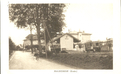 Malb 11.jpg
